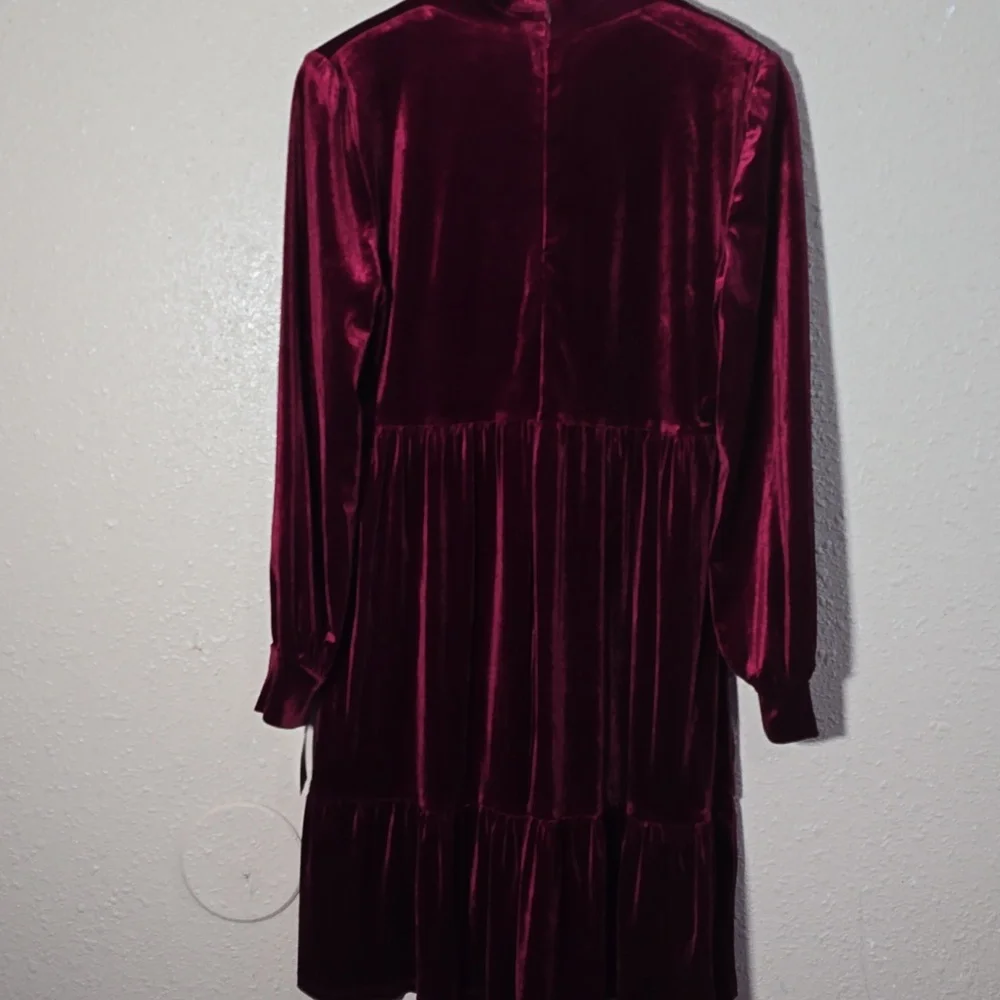 Taylor Elegant Velvet Burgundy Dress - Picture 8 of 9